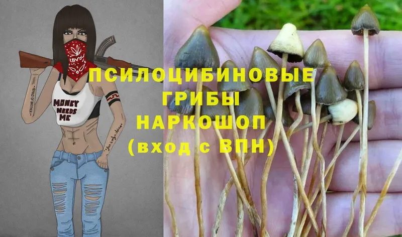 Галлюциногенные грибы MAGIC MUSHROOMS  Кандалакша 